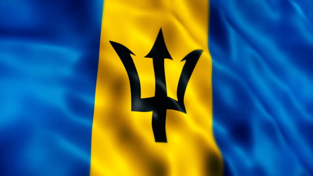 Barbados Flag Animation close-up (Depth Of Field)